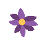 a profile picture of a purple flower